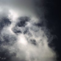 Облачная собака в небе. :: Елена Kазак (selena1965)
