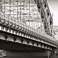 Фрагмент моста Петра Великого. :: Марина Харченкова