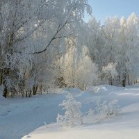 В феврале :: Галина Кан