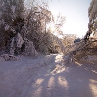 воспоминания о зиме :: Владимир Зырянов