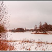 Пасмурные цвета зимы. :: Maxim Semenov