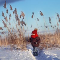 Тимошка в зимнем поле :: Олька Никулочкина