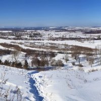 Первые признаки весны :: Анатолий Иргл