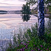Тихий вечер на озере :: Алексей Саломатов 