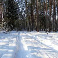 В Катынском лесу :: Милешкин Владимир Алексеевич 