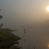Рыбалка в тумане :: Анатолий Иргл