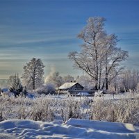 Зима в Молочном :: Валерий Талашов