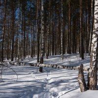 Март. А зима весну не пускает... :: Владимир Безбородов