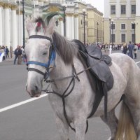 задремала :: Дмитрий Солоненко