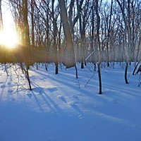 Свет и тень :: Raduzka (Надежда Веркина)