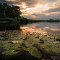 .... :: Cлава Украине 