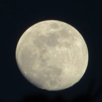 Луна :: Mariya laimite