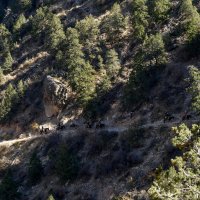 Прогулка верхом  по горным индейским тропам (Гранд-Каньон, США) :: Юрий Поляков