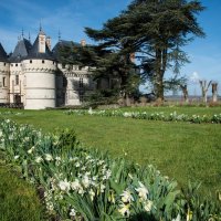 замок Шомон-сюр-Луар (chateau de Chaumont-sur-Loire) :: Георгий А