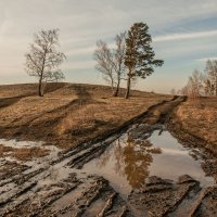 Весенняя распутица... :: Сергей Герасимов