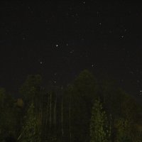 Звёздная ночь в лесу :: Анатолий Кувшинов