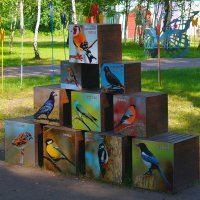 Птички в „клетке” :: Сеня Белгородский
