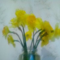 Весенние цветы (Апрель 2018 год). :: Светлана Калмыкова