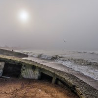 Туман над Балтикой :: Леонид Соболев