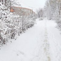 Апрельский снег. :: Михаил Николаев
