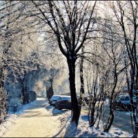 ВЛАДИМИР ПРОВИНЦИАЛЬНЫЙ :: Валерий Викторович РОГАНОВ-АРЫССКИЙ