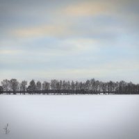 Оттенки зимнего неба :: Андрий Майковский