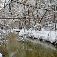 московский февральский пейзаж :: megaden774 