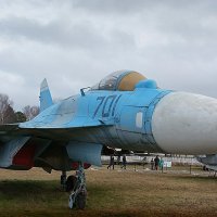 Су-35 Многофункциональный истребитель :: san05 -  Александр Савицкий
