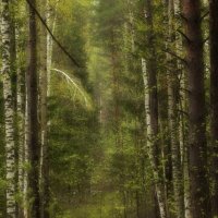 Марийский лес весной :: Лада Котлова