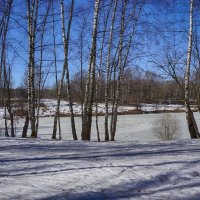 Весенний пейзаж :: Ольга 