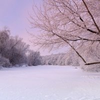 Краски морозного января :: Александр Бойченко