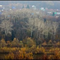 Осенние зарисовки :: Алексей Патлах