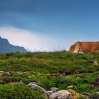 Уморилась, уморилась, уморилася:) :: Elena Wymann