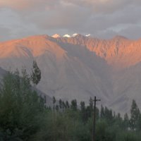 Закат в Гималаях (долина Нубра) :: Evgeni Pa 