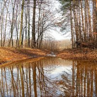 В лужах всегда отражается то,  о чём мы мечтаем, когда туда смотрим.. :: Андрей Заломленков