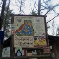 Добпро пожаловать в Томилинский лесопарк 26 апреля 2018 год :: Ольга Кривых