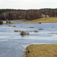 Весенняя рыбалка. :: Нина Бурченкова.