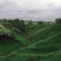 Весна в городе :: Александр pet2