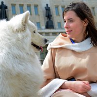 Ты – лучшая собака на земле, Сибирский хаски! :: Дмитрий Иванцов