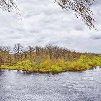 ветренный  день. :: Валера39 Василевский.