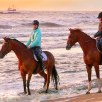 купание красных коней :: Ekaterina Bertin