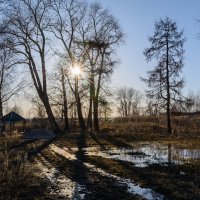 Усолье. Усадьба Голицыных. Сад камней :: Александр Янкин