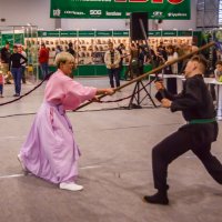 "Опять сакэ с дружками до ночи пил..." :: Андрей Нибылица