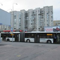 Автобус :: Митя Дмитрий Митя