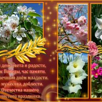 С Днём Победы, дорогие друзья! Мирного неба, здоровья, счастья! :: Nina Yudicheva