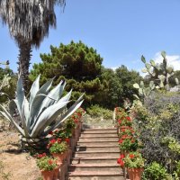 В ботаническом саду. Испания :: Валерий Подорожный