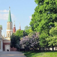 Весна в Кремле :: Алла Захарова