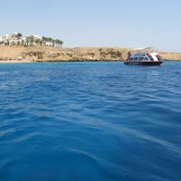 Красное море,Египет :: Елена Шаламова