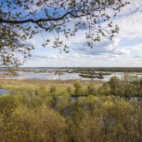 Десна в разливе :: Андрей Гр