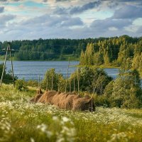 Архангельский пейзаж :: Михаил П.